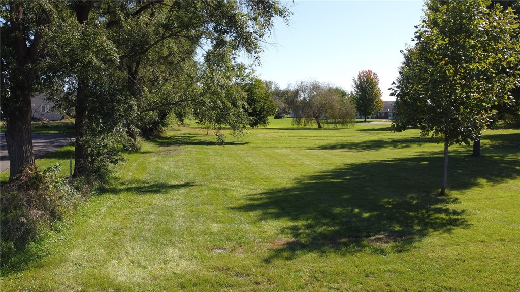 Picture 7