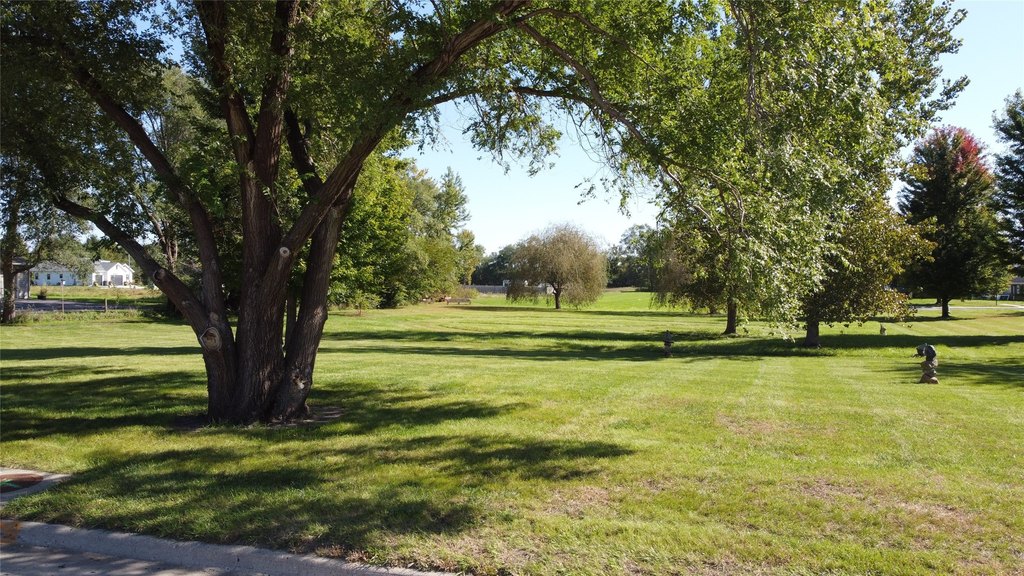 Picture 8