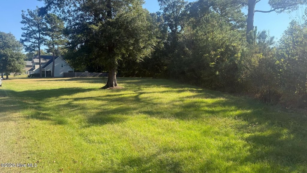 Picture 3