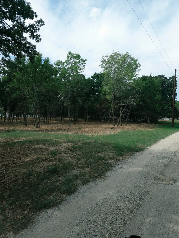 Picture 6