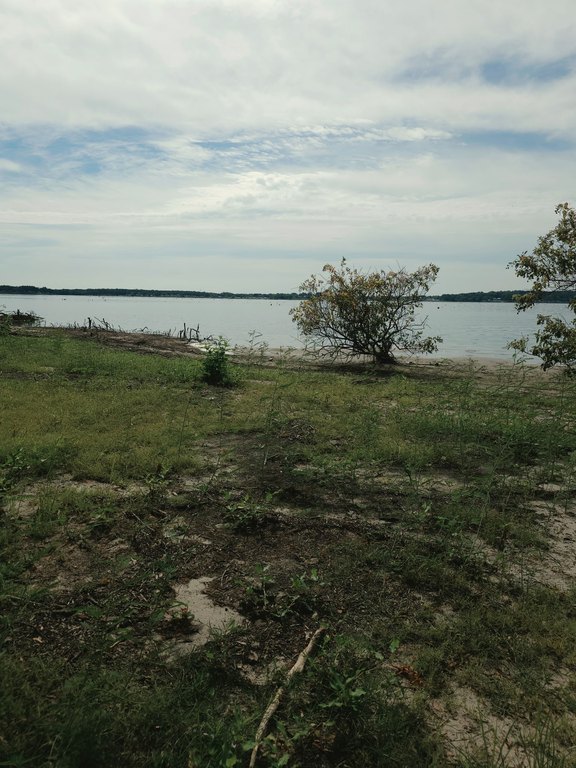 Picture 18
