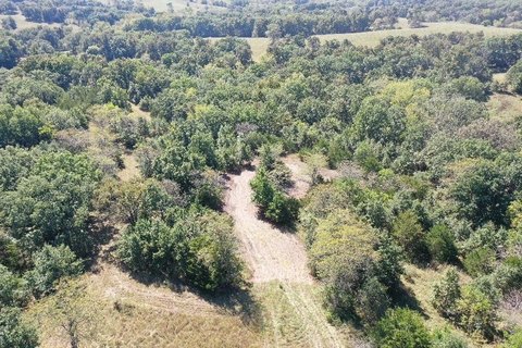 77 Acres Hunting and Recreation Land