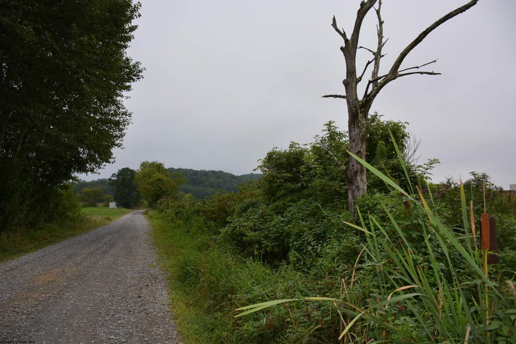 Picture 15