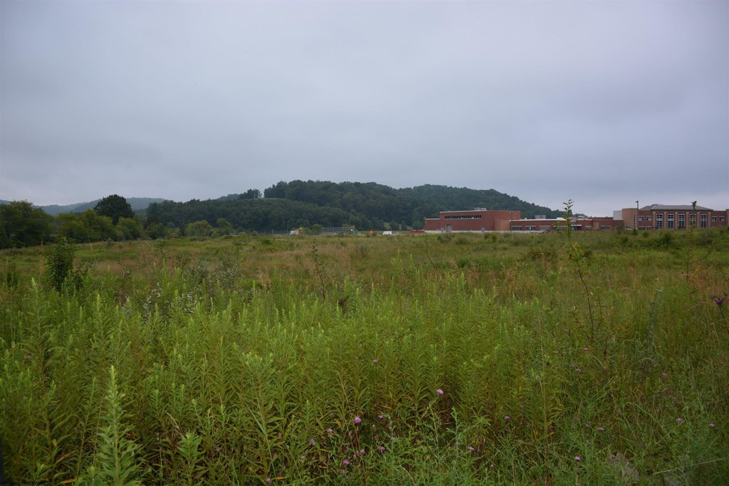 Picture 10