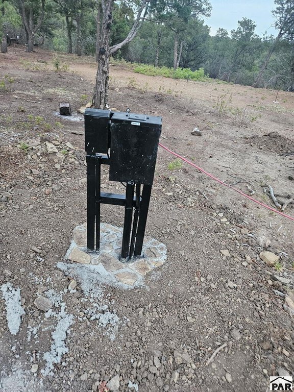 Picture 39
