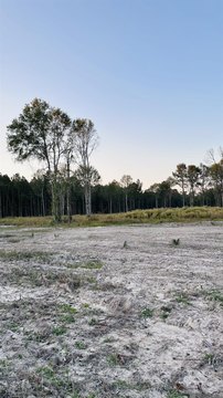 Land, Walker, LA
