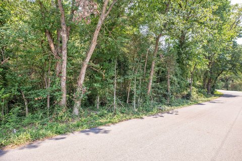 Land, Hollister, MO