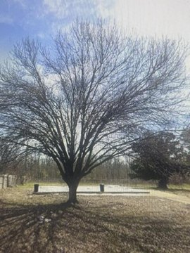 Land, CLARKSDALE, MS