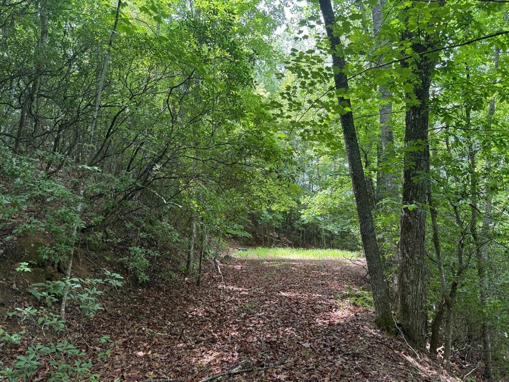 Picture 3