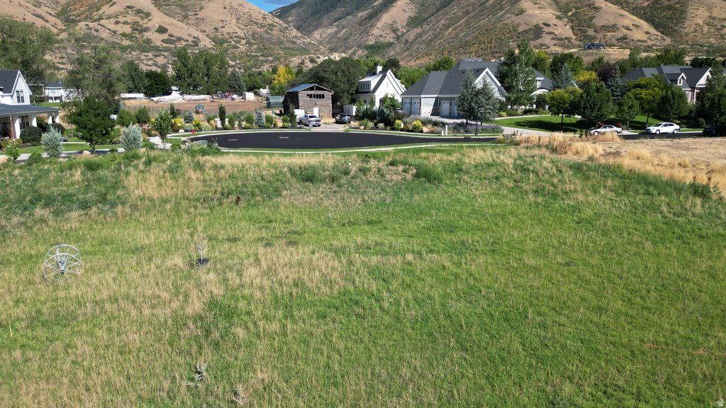 Picture 3