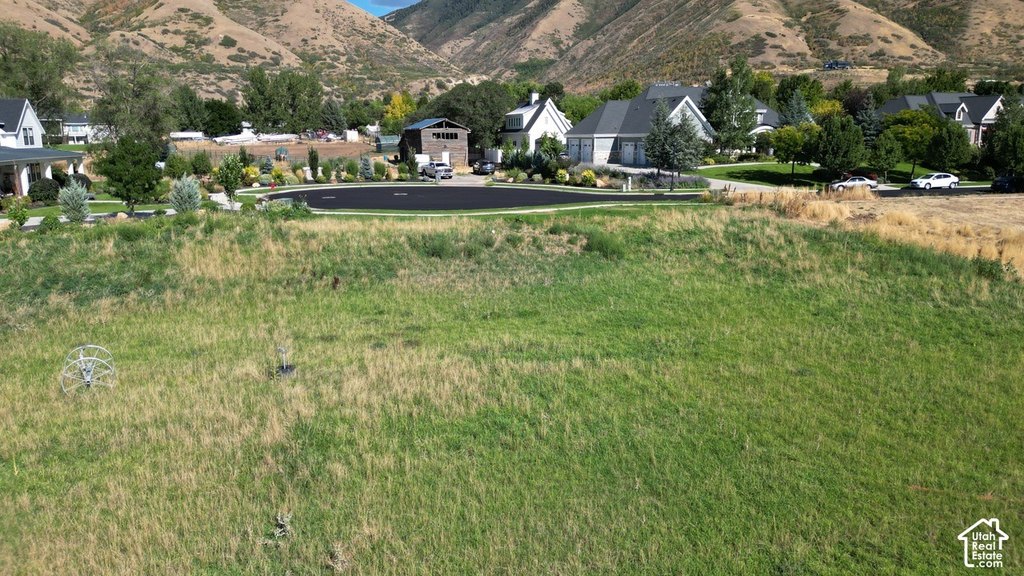 Picture 3
