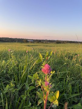 Wilmore, KY Land Opportunity
