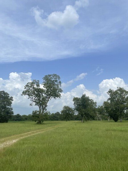 Picture 33