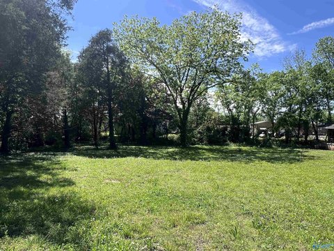 LAND - New Hope, AL
