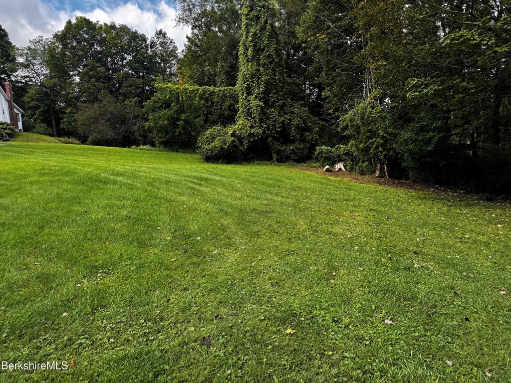 Picture 7