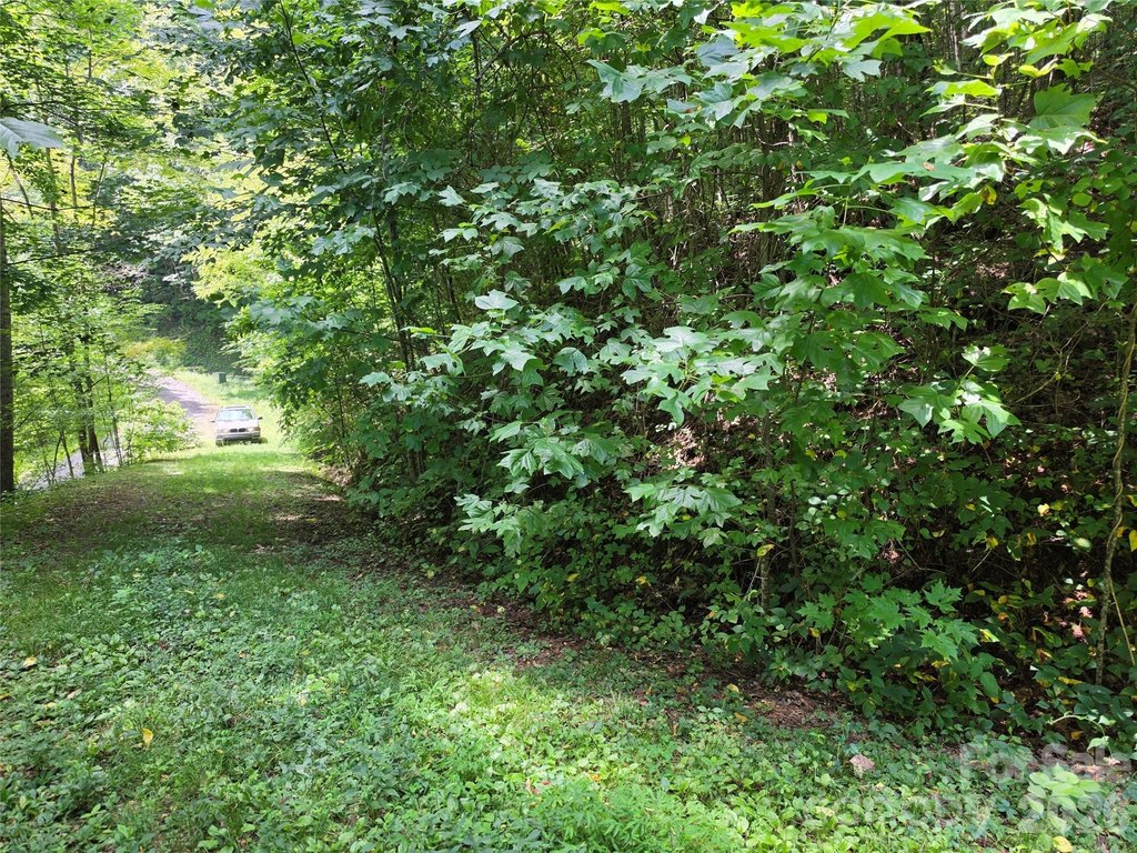 Picture 13