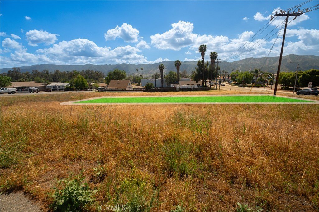 Picture 6
