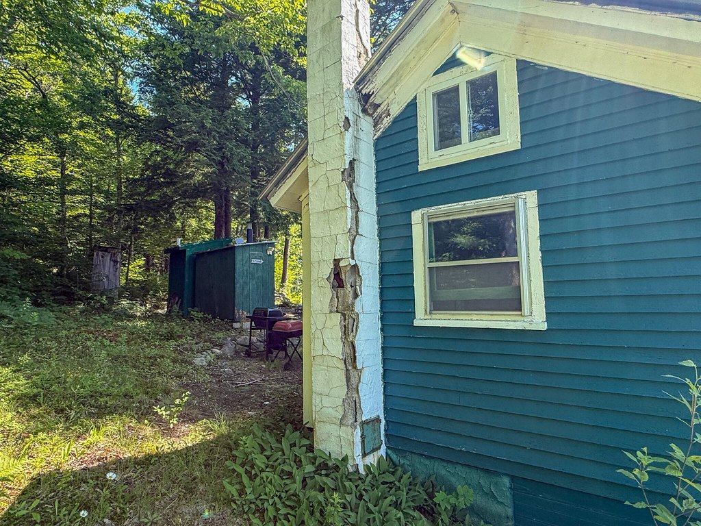 Picture 8