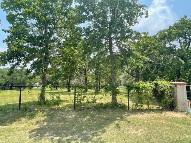 Picture 2