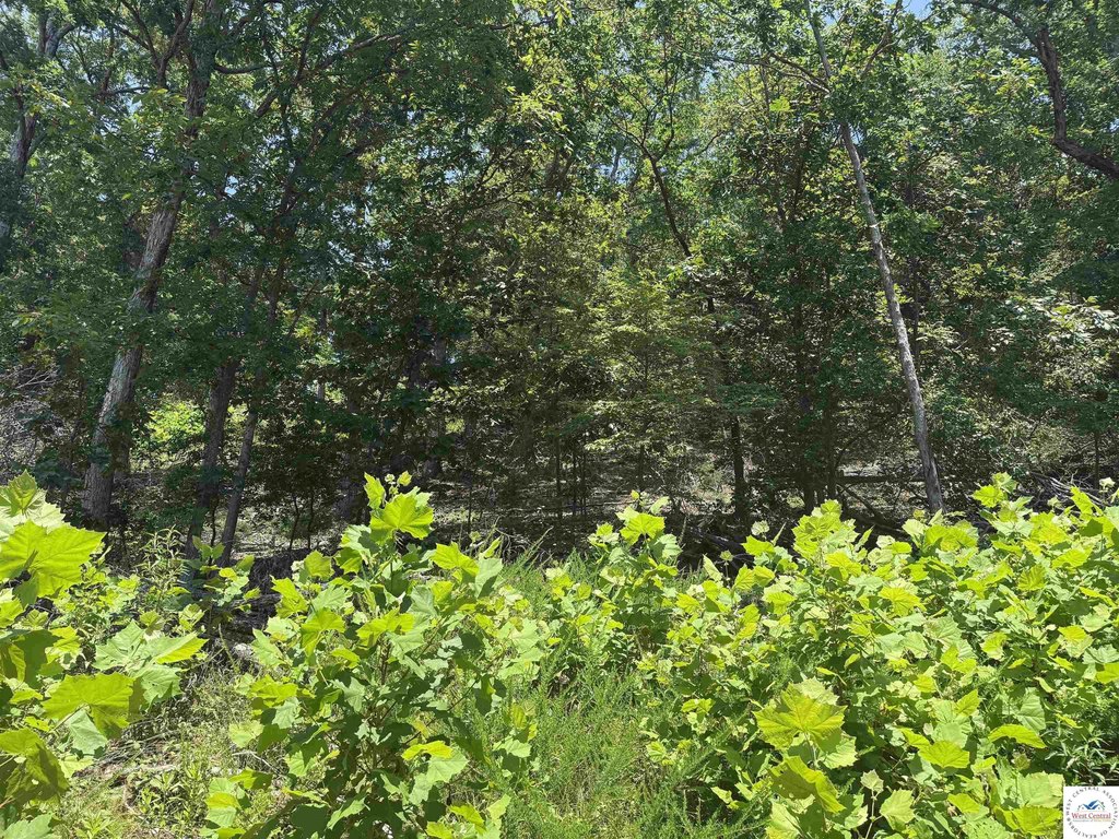 Picture 6