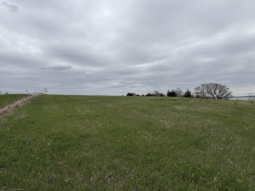 Picture 24