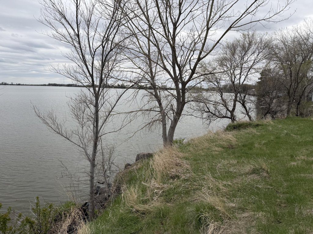 Picture 19