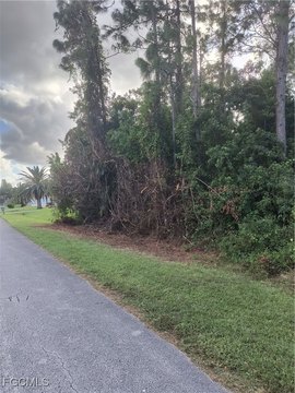 Lehigh Acres Half Acre Lot