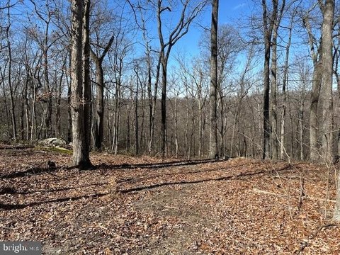 Mountain Homesite in Augusta, WV