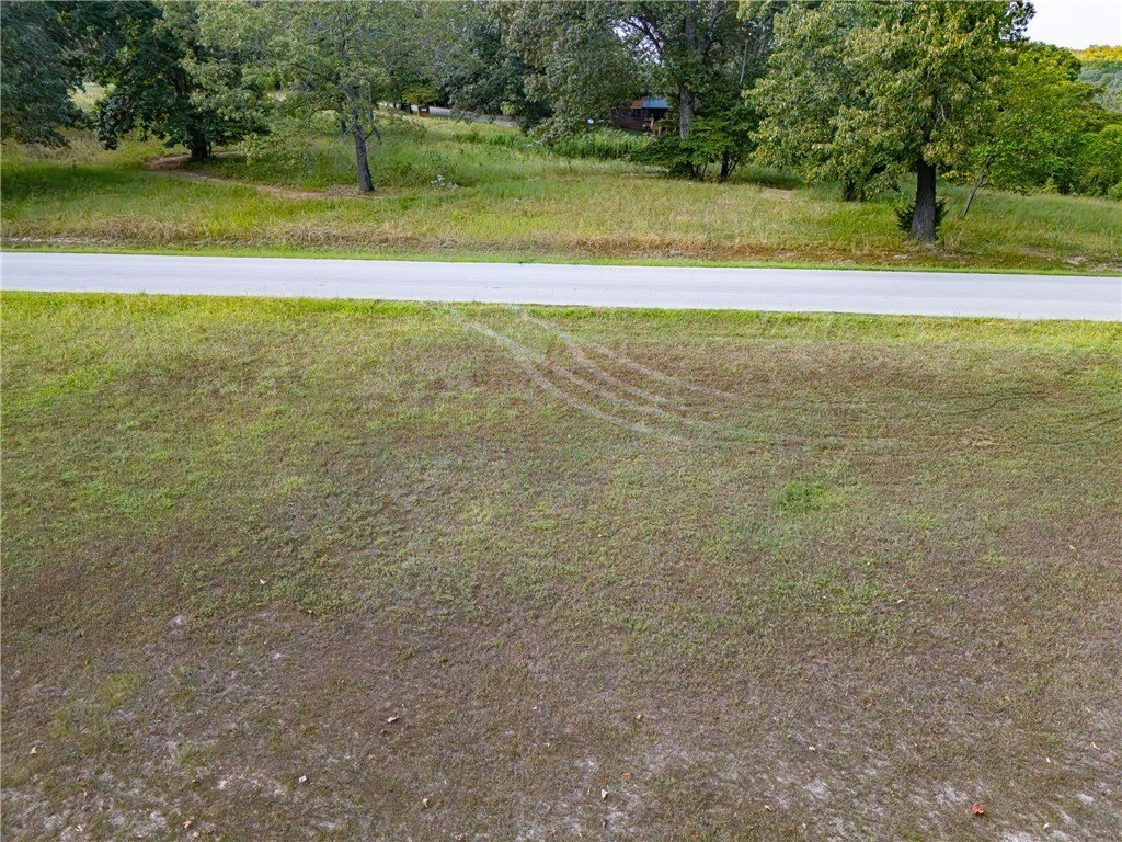 Picture 17