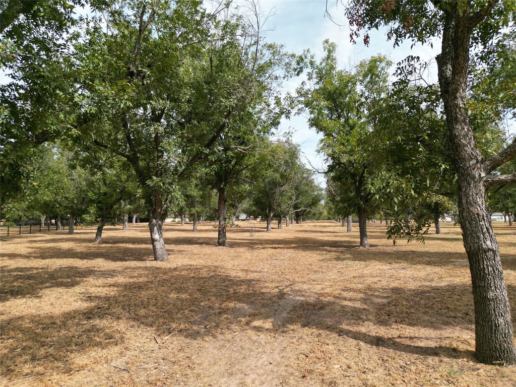 Picture 7