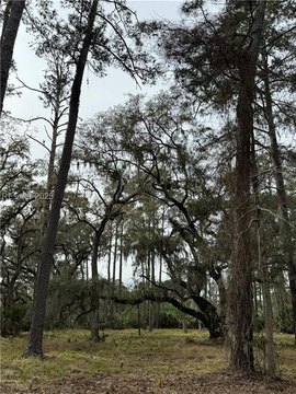 Daufuskie Island Land Parcel