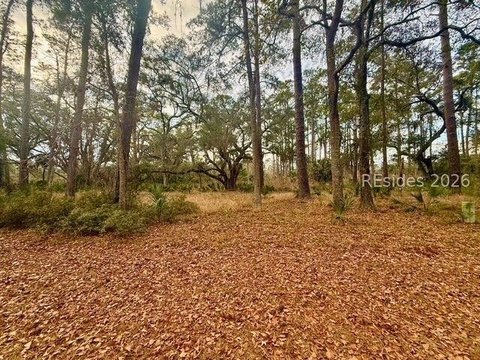 Daufuskie Island Land Parcel