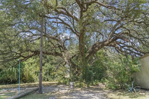 Cleared Land in Conway, SC