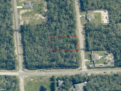 LAND - Citrus Springs, FL