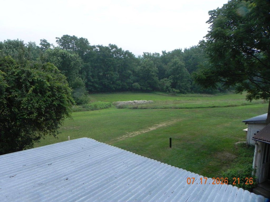 Picture 3
