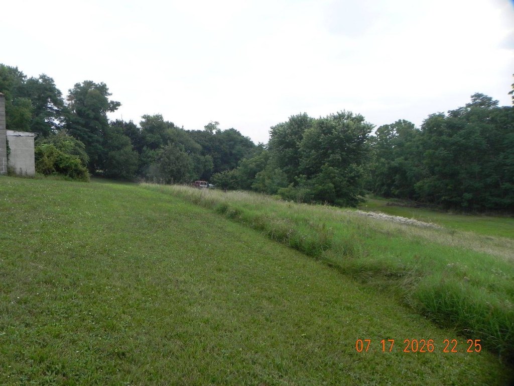 Picture 2