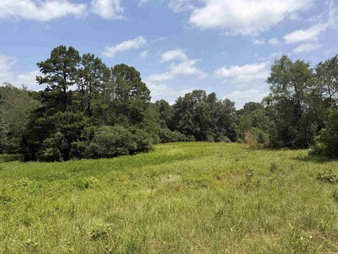 LAND - Jacksonville, AR