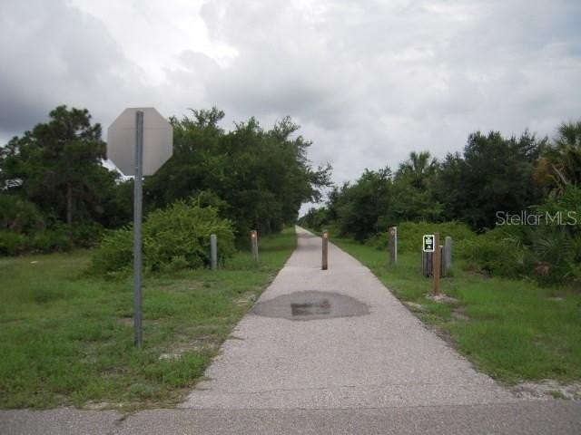 Picture 4