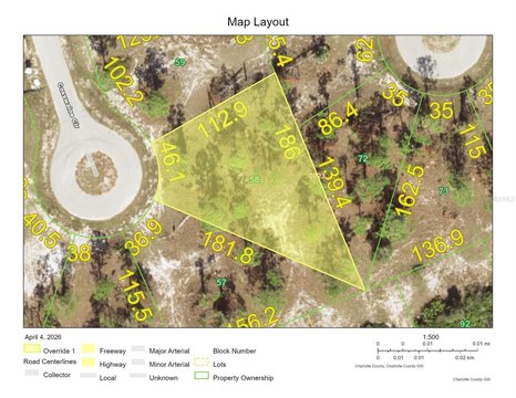 Oversized Building Lot in Placida