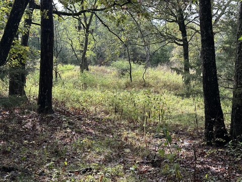 Land with Well and Power