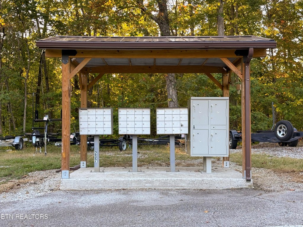 Picture 16