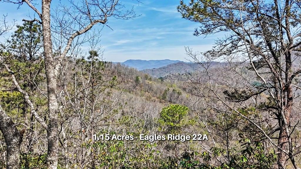 Mountain View Land For Sale