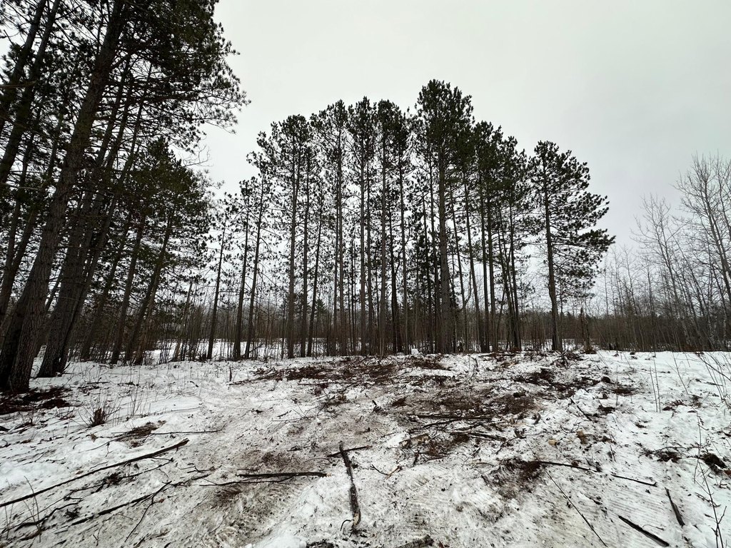 Picture 2