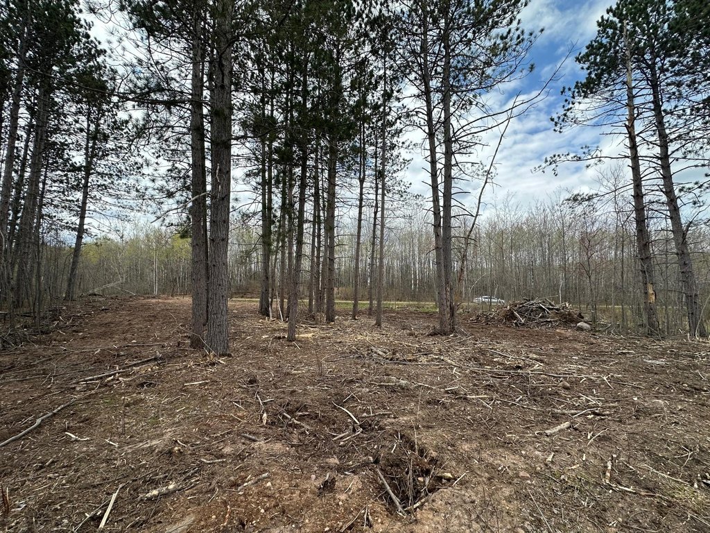 Picture 5