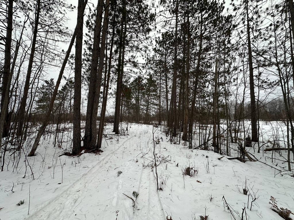 Picture 3