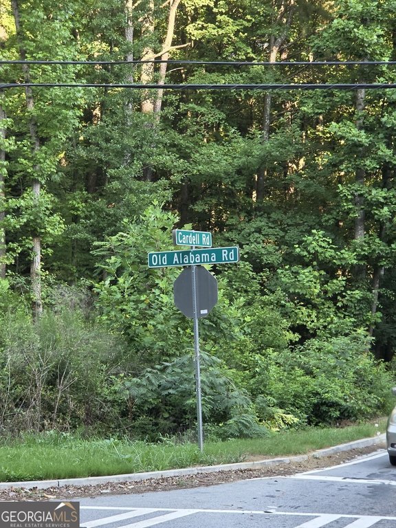 Picture 7
