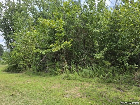Land/Lots, Roanoke Rapids, NC
