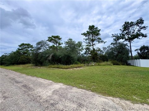 Land, Citrus Springs, FL