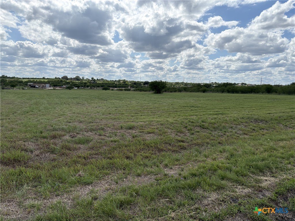 Picture 2
