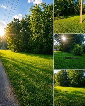 LAND - Mulberry, AR